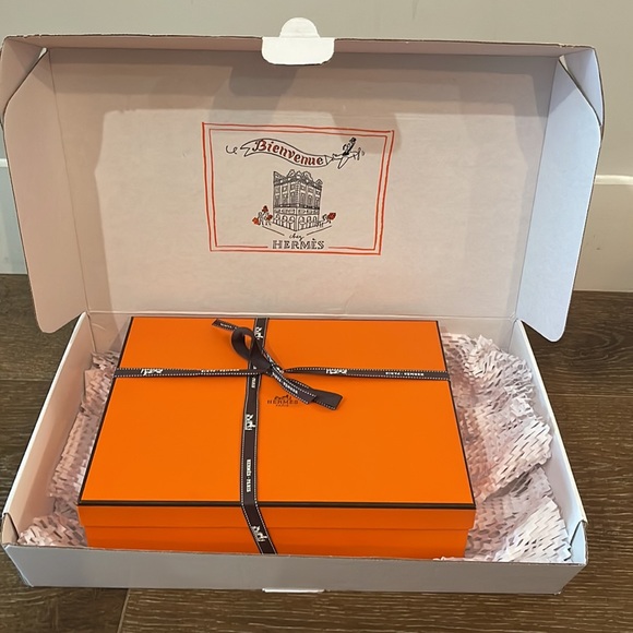 Hermes Oran Sandal Blanc White Size 39.5 with box and all original packaging - Picture 12 of 12